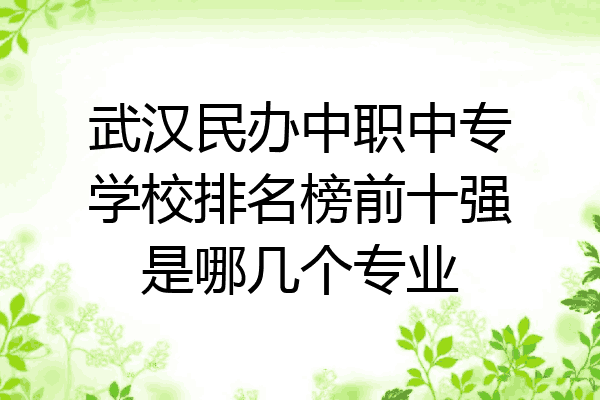 武汉民办中职中专学校排名榜前十强是哪几个专业