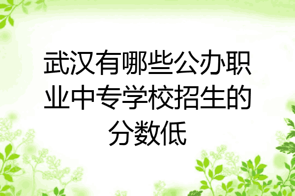 武汉有哪些公办职业中专学校招生的分数低