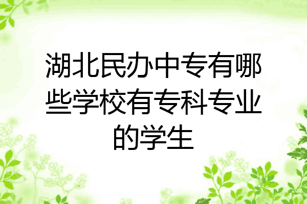 湖北民办中专有哪些学校有专科专业的学生