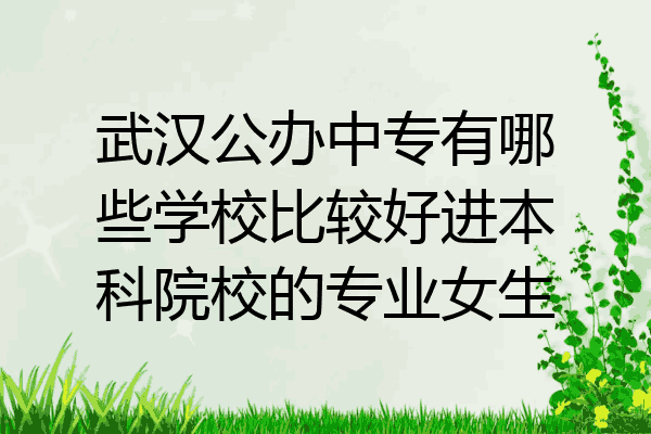 武汉公办中专有哪些学校比较好进本科院校的专业女生
