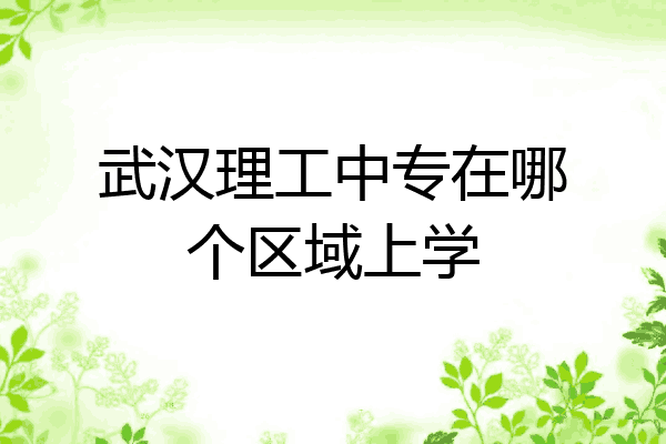 武汉理工中专在哪个区域上学