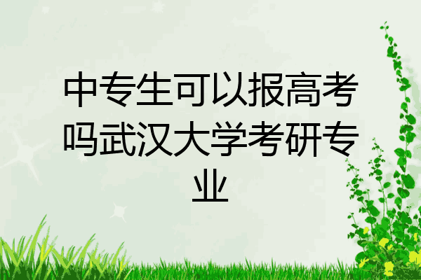 中专生可以报高考吗武汉大学考研专业
