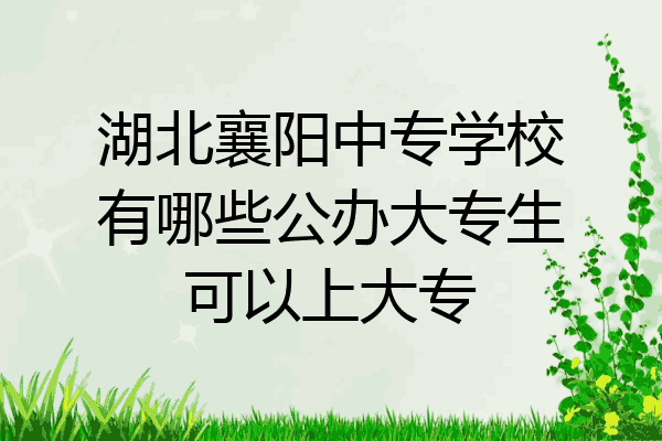 湖北襄阳中专学校有哪些公办大专生可以上大专