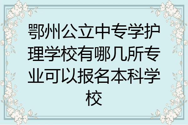 鄂州公立中专学护理学校有哪几所专业可以报名本科学校
