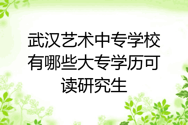 武汉艺术中专学校有哪些大专学历可读研究生