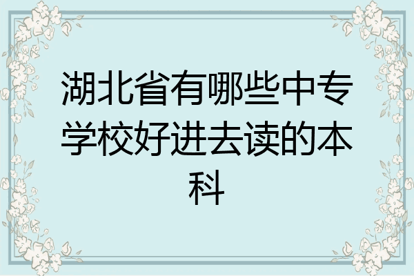 湖北省有哪些中专学校好进去读的本科
