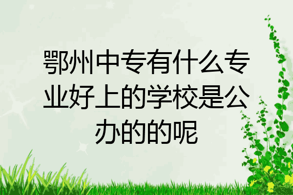 鄂州中专有什么专业好上的学校是公办的的呢