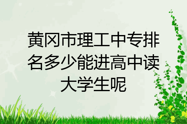 黄冈市理工中专排名多少能进高中读大学生呢