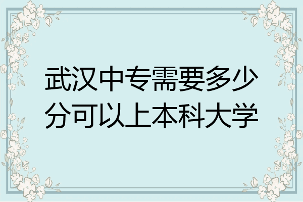 武汉中专需要多少分可以上本科大学