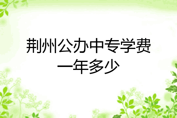 荆州公办中专学费一年多少