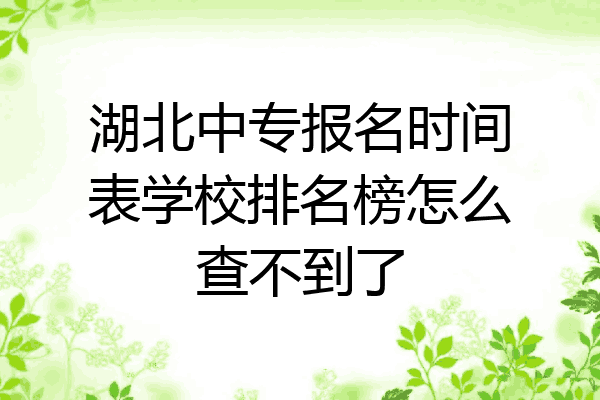 湖北中专报名时间表学校排名榜怎么查不到了