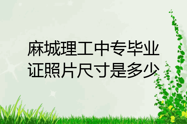 麻城理工中专毕业证照片尺寸是多少
