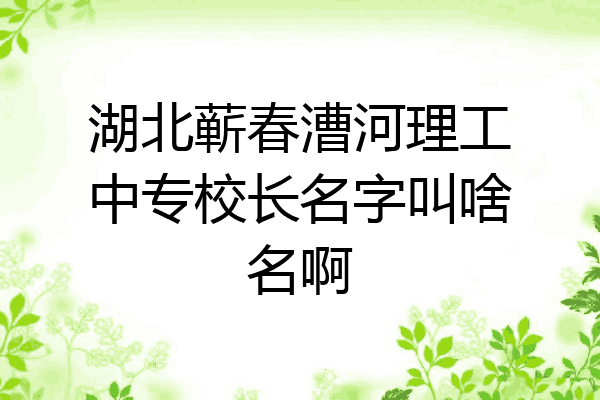 湖北蕲春漕河理工中专校长名字叫啥名啊