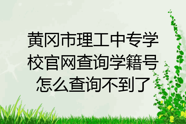 黄冈市理工中专学校官网查询学籍号怎么查询不到了