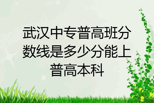武汉中专普高班分数线是多少分能上普高本科