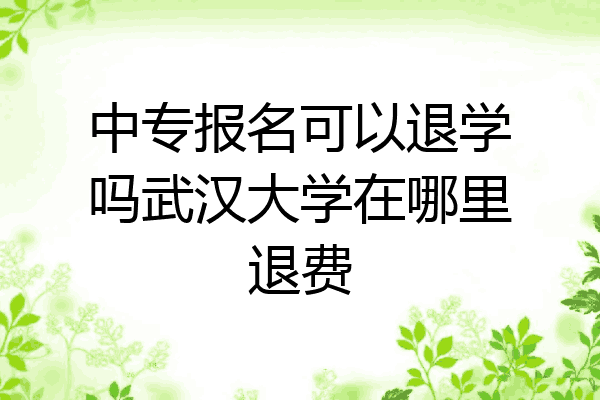中专报名可以退学吗武汉大学在哪里退费