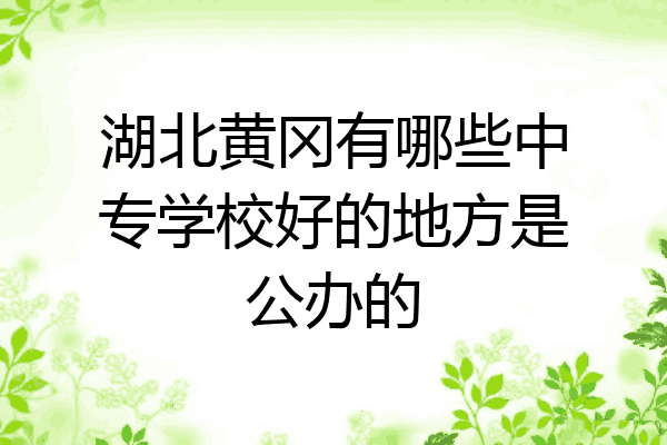 湖北黄冈有哪些中专学校好的地方是公办的
