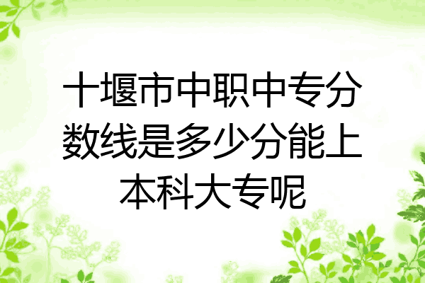 十堰市中职中专分数线是多少分能上本科大专呢