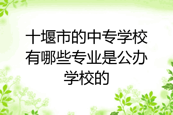 十堰市的中专学校有哪些专业是公办学校的