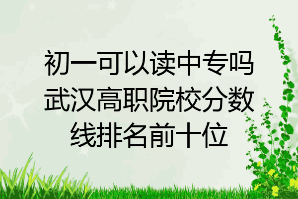 初一可以读中专吗武汉高职院校分数线排名前十位
