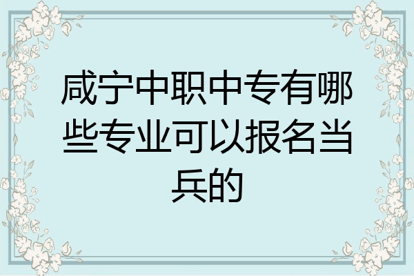 咸宁中职中专有哪些专业可以报名当兵的