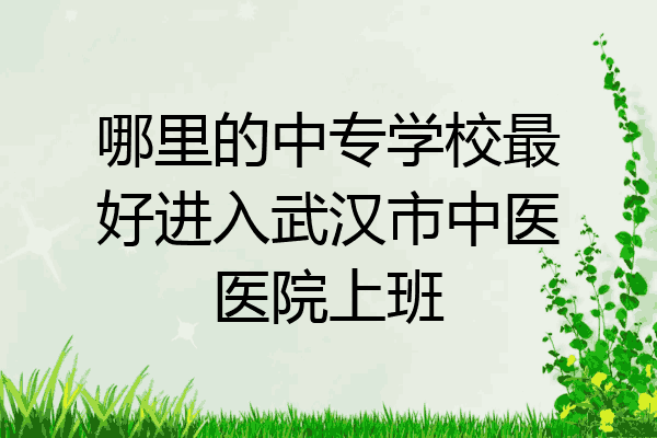 哪里的中专学校最好进入武汉市中医医院上班