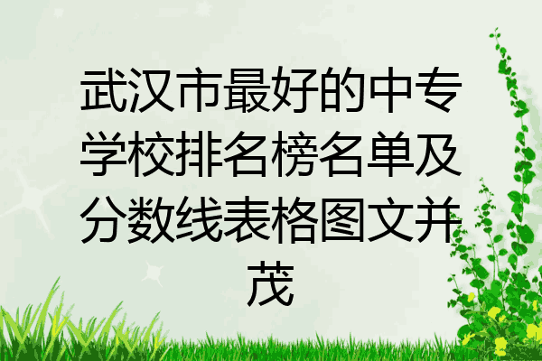 武汉市最好的中专学校排名榜名单及分数线表格图文并茂