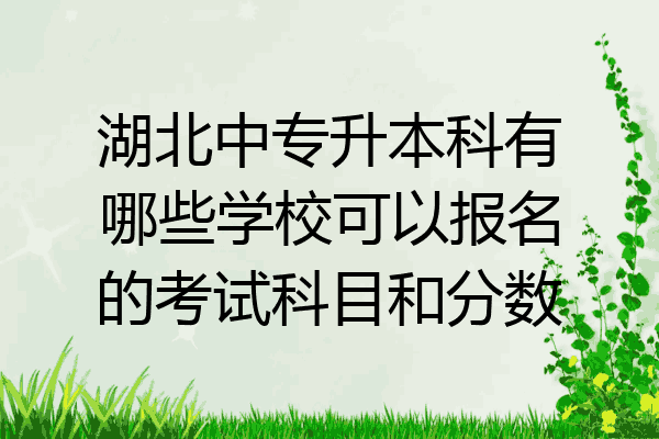 湖北中专升本科有哪些学校可以报名的考试科目和分数