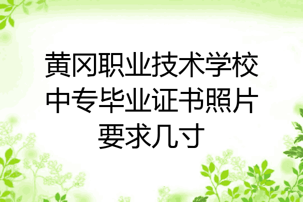 黄冈职业技术学校中专毕业证书照片要求几寸
