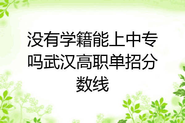 没有学籍能上中专吗武汉高职单招分数线