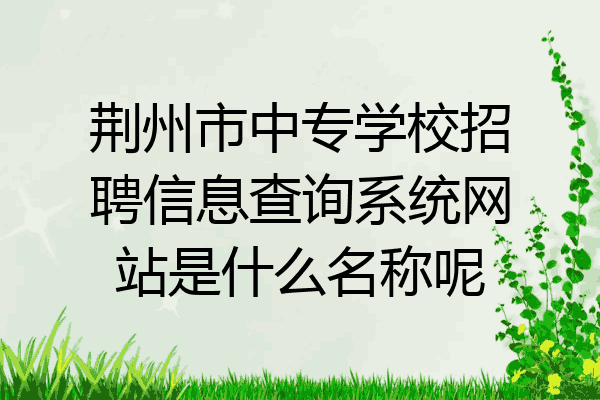 荆州市中专学校招聘信息查询系统网站是什么名称呢