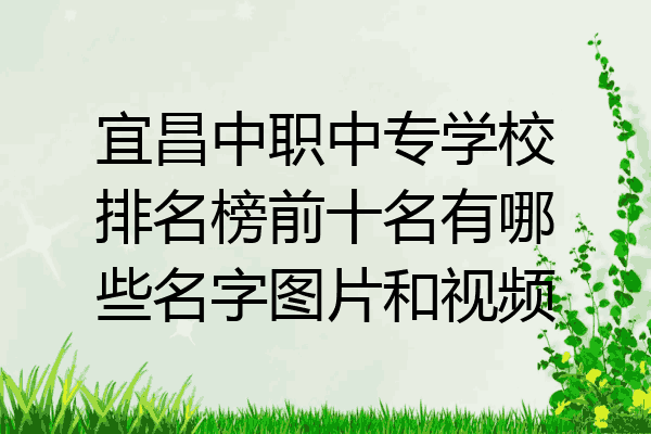 宜昌中职中专学校排名榜前十名有哪些名字图片和视频