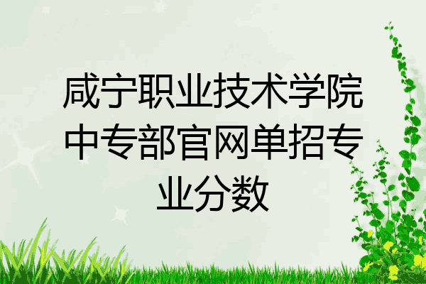 咸宁职业技术学院中专部官网单招专业分数