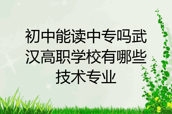 初中能读中专吗武汉高职学校有哪些技术专业