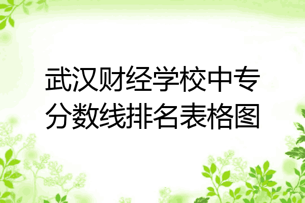 武汉财经学校中专分数线排名表格图
