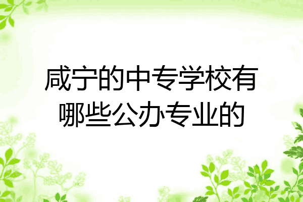 咸宁的中专学校有哪些公办专业的