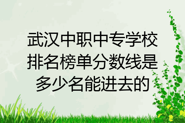 武汉中职中专学校排名榜单分数线是多少名能进去的