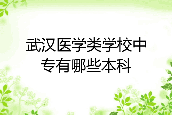 武汉医学类学校中专有哪些本科