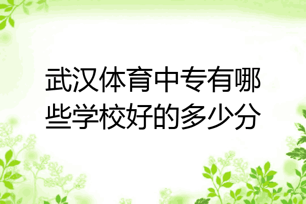 武汉体育中专有哪些学校好的多少分