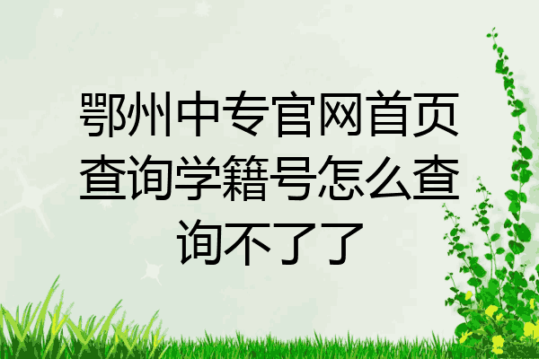 鄂州中专官网首页查询学籍号怎么查询不了了