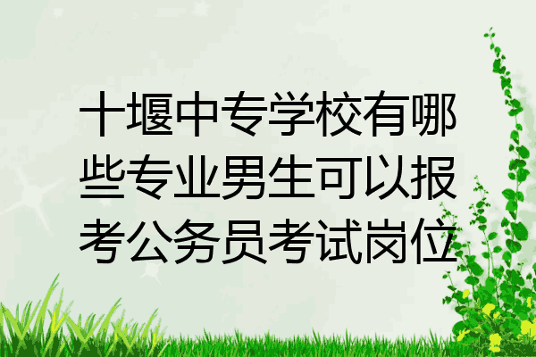 十堰中专学校有哪些专业男生可以报考公务员考试岗位