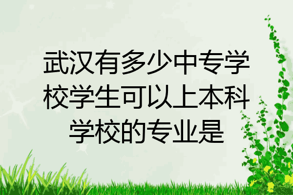 武汉有多少中专学校学生可以上本科学校的专业是