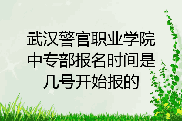 武汉警官职业学院中专部报名时间是几号开始报的