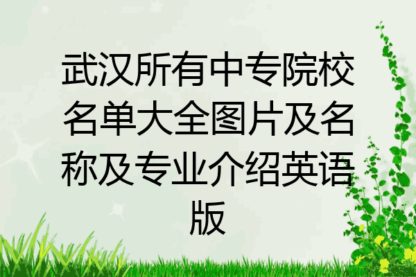 武汉所有中专院校名单大全图片及名称及专业介绍英语版