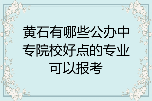 黄石有哪些公办中专院校好点的专业可以报考
