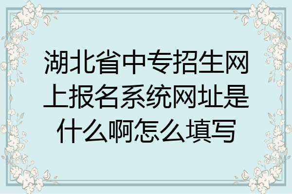 湖北省中专招生网上报名系统网址是什么啊怎么填写