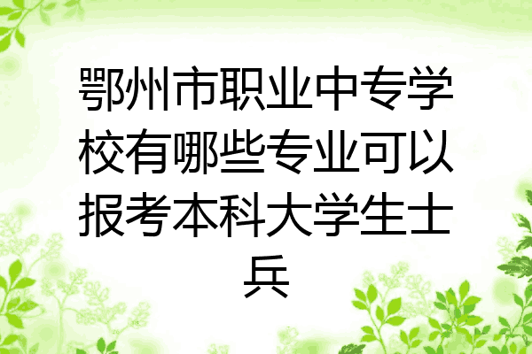 鄂州市职业中专学校有哪些专业可以报考本科大学生士兵