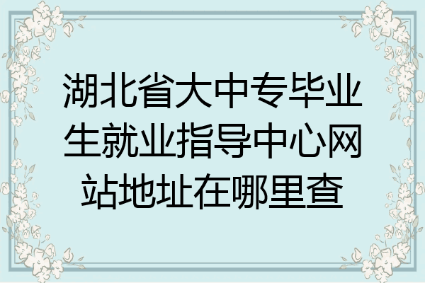 湖北省大中专毕业生就业指导中心网站地址在哪里查