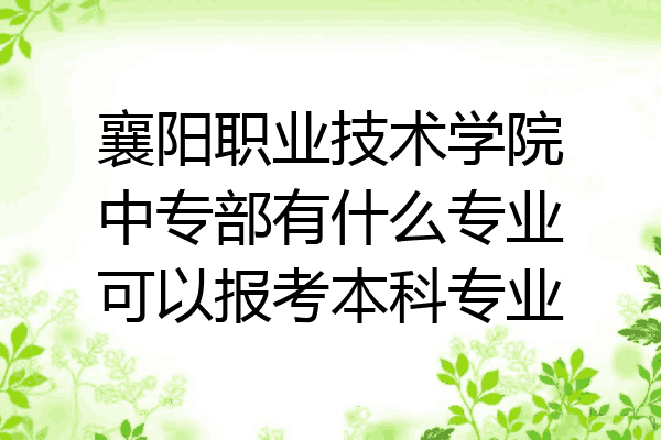 襄阳职业技术学院中专部有什么专业可以报考本科专业