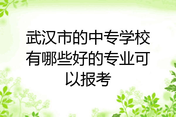 武汉市的中专学校有哪些好的专业可以报考